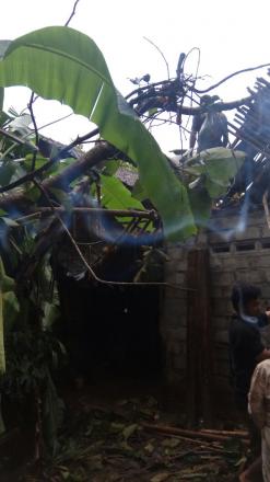 Longsor dan Pohon Tumbang di Dusun Sanan Akibat Hujan Deras dan Angin Kencang